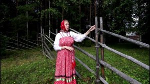 Типы северных изгородей