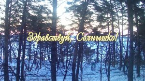 Здравствуй, Солнышко