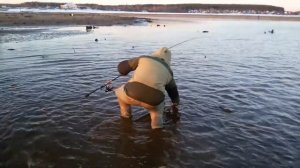 Ловим сома на воблер в Добрянке на канале