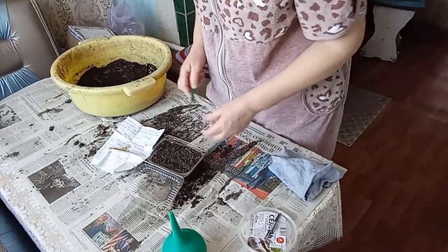 На кухне/ Посеяла перец / Предлагаю вам цветочки / Деревенская жизнь/ смотреть онлайн