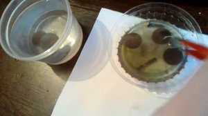 Чистка монет ортофосфорной кислотой. Часть вторая