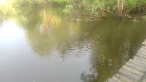 20170611/Уень/Черный Мыс