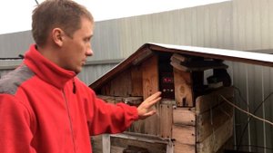 Всё о копчении от А до Я. Коптим горбушу горячего копчения с огоньком.