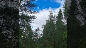 Спокойствие