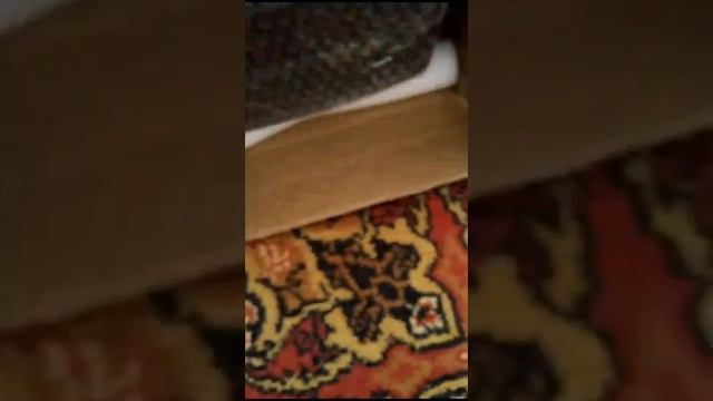 Видео от одного из победителей новогоднего конкурса Кривенцова Юрия г. Нижний Тагил #anton_mygt