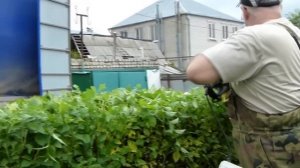 Как самостоятельно подстричь кусты на клумбе.