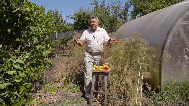 Ставропольский ботанический сад. Хранение фруктов. смотреть онлайн