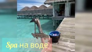 🌴Sun Siyam Iry Veli 5* Мальдивы. Обзор отеля.😍