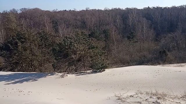 Куршская коса национальный парк смотреть онлайн
