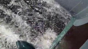 Ветерок 12+чемпион 225. Запилил винт 210*225