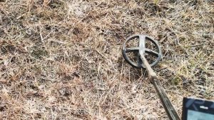 Колечко на выбитом поле коп весна 2019