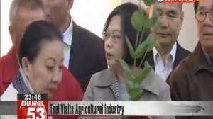 President-elect Tsai Ing-wen proposes new ideas to promote agricultural industry