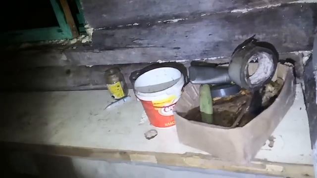 Заглянул в избушку, в глухом лесу, через открытые ставни. смотреть онлайн