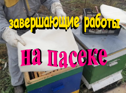 Завершающие работы на пасека перед зимовкой смотреть онлайн