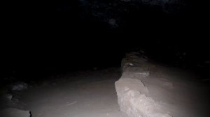 Historias de Hombres Lobo: Hombre Lobo en San Luis Potosí  PARTE 2 (FINAL) | Frecuencia Paranormal