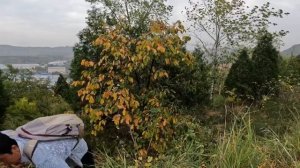 小伙重装骑行路上，天黑了还没找到露营地，身心俱疲，好危险！！