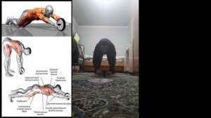упражнение ролик для пресса