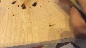 Ламповый однотактный усилитель 12AX7 EL 34