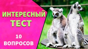 Проверьте Ваши знания 🤗 Тесты на эрудицию №12