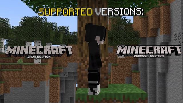The NEW ACTUAL BEST Minecraft SMP... (free to join!) смотреть онлайн