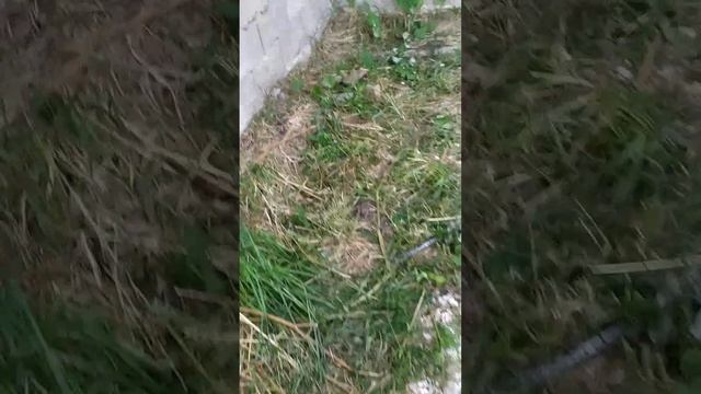 Установили аэробную систему в станцию из бетонных колец 3*2, произвели запуск?
Арболит ВН? смотреть онлайн