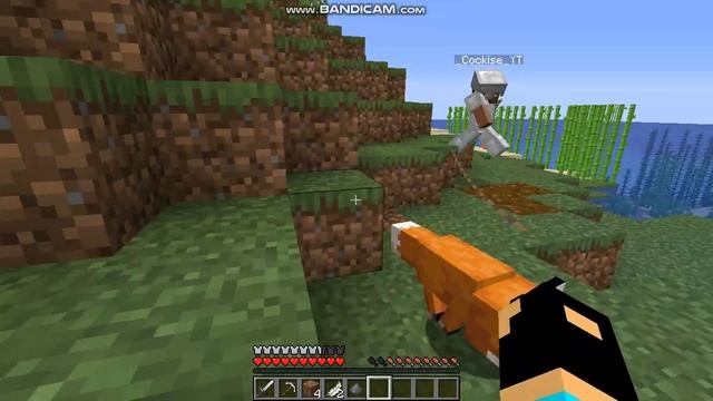 Убиваем фантомов,ловим лис. (Майнкрафт выживание №1) смотреть онлайн