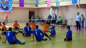 Волейбол Сидя