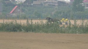 Русская тройка Пророк Лок, Румба. Емельяновский ипподром 2019 сельский
