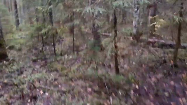 ОХОТА НА РЯБЧИКА.РУЖЬЁ CZ MALLARD 2076.