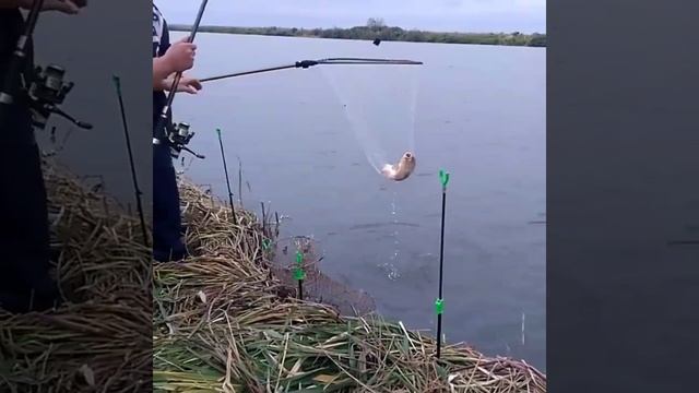 Обзор с Глубокого Турунчука смотреть онлайн