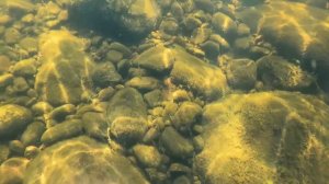 Что можно найти под водой, на рыбацком месте / What can be found under water, at a fishing spot