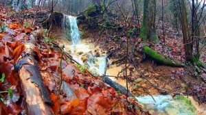 Великолепный звук воды. Белый шум.