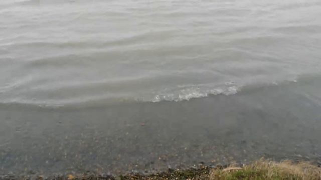 КРАСНОДАР 12.12.16 ПРОГУЛКА У МАЛЕНЬКОГО МОРЯ!! смотреть онлайн