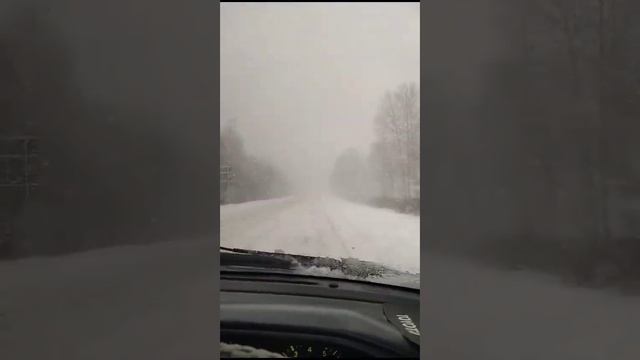 Вынужденная поездка в снегопад