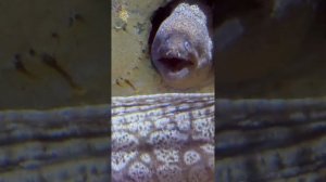 Мальта зимой. Декабрь 2023, Рождество на Мальте, погода