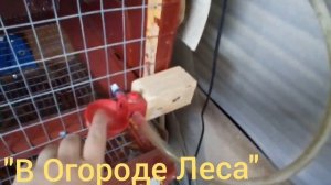 Обустройство перепелятника