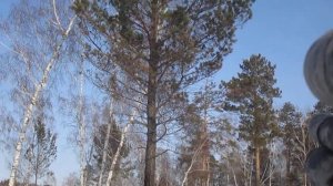 Пневматическая винтовка Эдган Матадор R3M 5,5 тест по черной