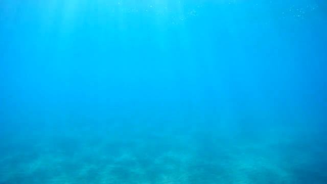 Дальянская коса Средиземное море Турция Dalyan spit Mediterranian sea Turkey смотреть онлайн