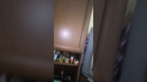 КАКАЯ ЕСТЬ!!!!