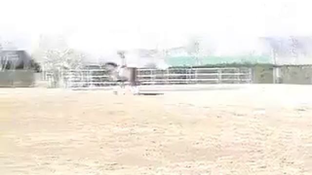 Celestin смотреть онлайн