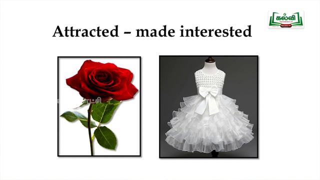 Class 5 | English | Bridge Course | The Magic Pencil - Part 1 & 2 | Day 7 & 8 | KalviTv смотреть онлайн