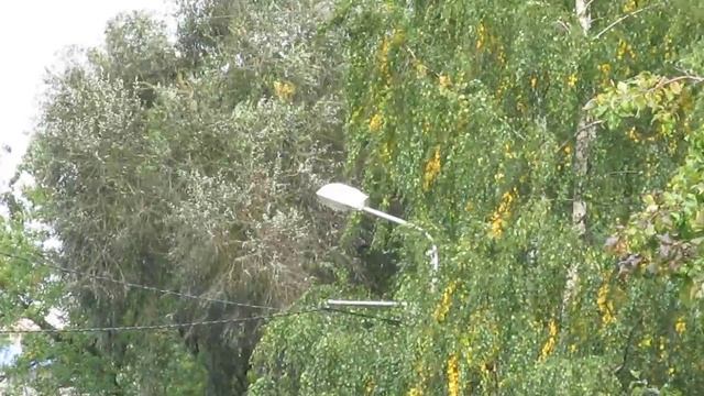 Canon PowerShot SX150 IS смотреть онлайн