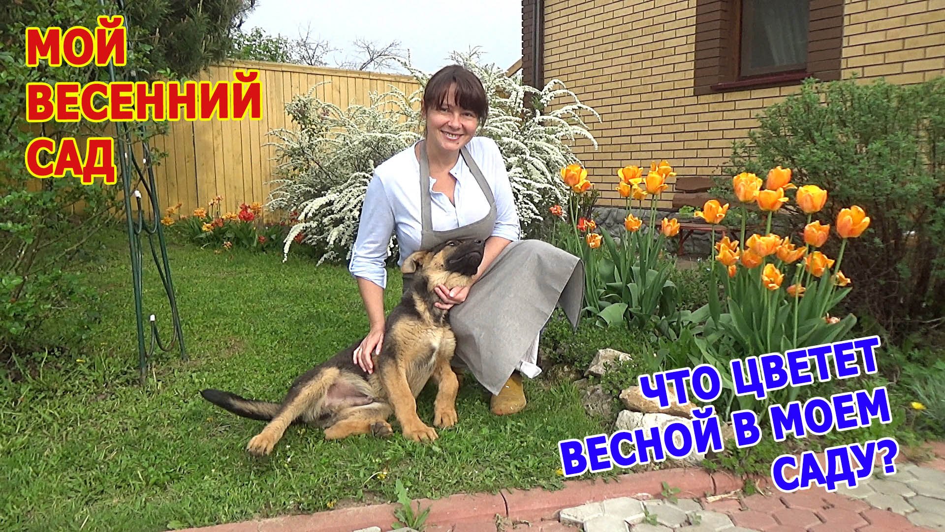 Весенний сад в Подмосковье. Что цветет в моем саду весной? ВЛОГ из МОЕГО САДА. 2019 год.