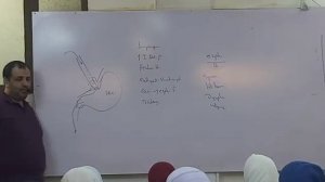 GIT Video -  Lec 1 - Dr.Mahmoud allam - 1