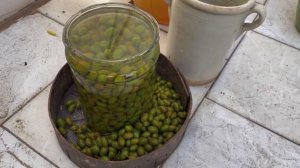 Как солить чёрные оливки маслины.