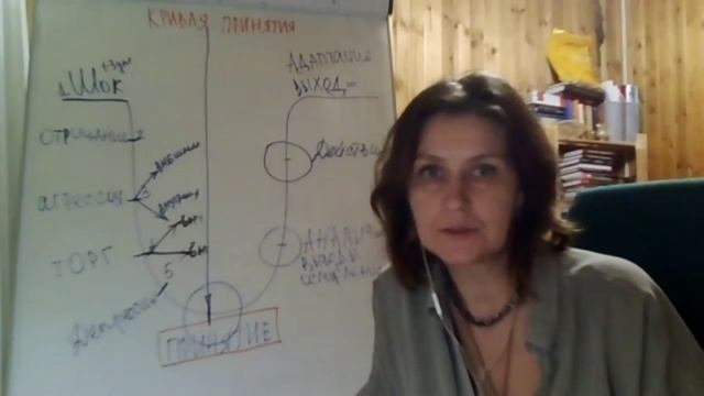 Кривая принятия