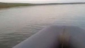 Мотор SEA Pro 5 л.с 4-х т. и лодка Streeam 3100 килевая Стрим