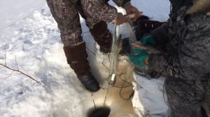 Рыбалка сетями в Красноярском море