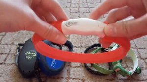 ВСЯ АМУНИЦИЯ МОЕЙ СОБАКИ🐾