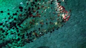 ПОПАЛА В ЦВЕТОЧНЫЙ РАЙ В ИСПАНИИ